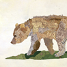 fauna