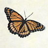 fauna