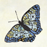 fauna