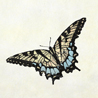 fauna