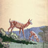 fauna
