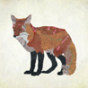 fauna