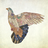 fauna